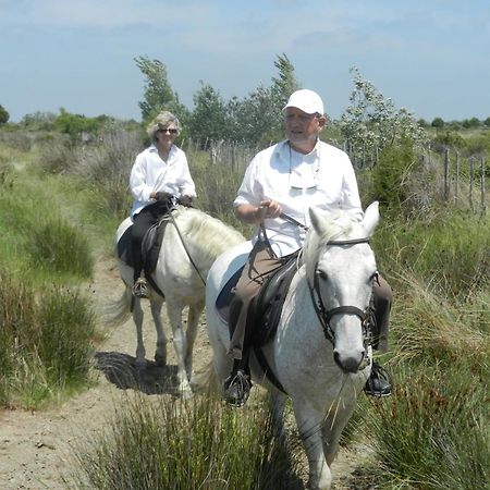 Mas De La Grenouillere Hotel Et Centre Equestre En Pleine Nature Сент-Мари-де-ла-Мер Экстерьер фото