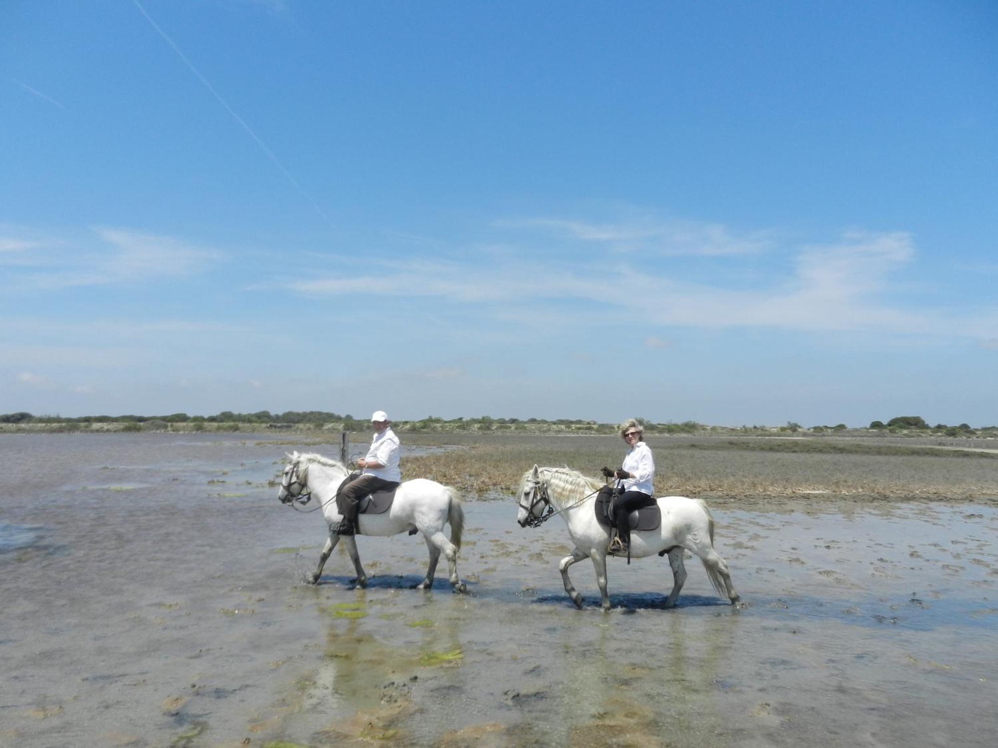 Mas De La Grenouillere Hotel Et Centre Equestre En Pleine Nature Сент-Мари-де-ла-Мер Экстерьер фото